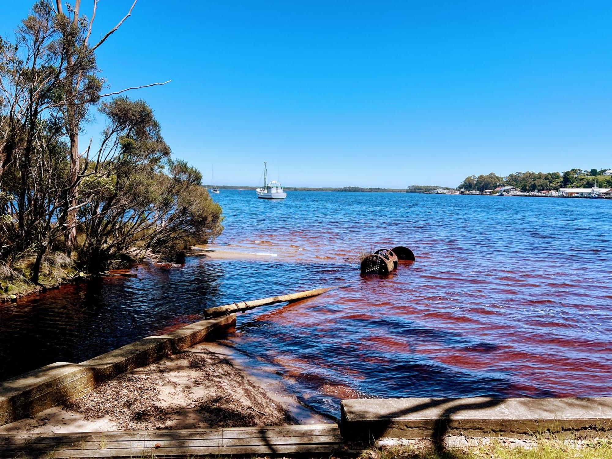 Risby Cove Boutique Hotel Strahan Esterno foto